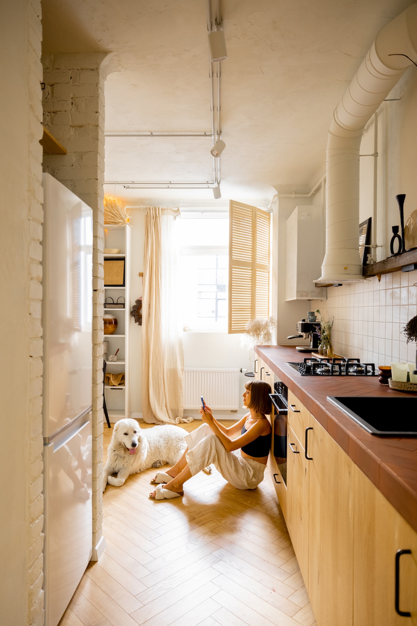 Woman with dog in modern and stylish kitchen